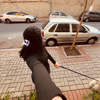 Cucattinho's profile picture. 