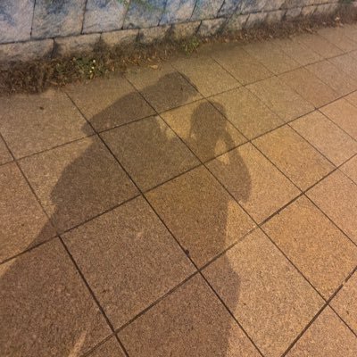 正岡四季(51)さんのプロフィール画像