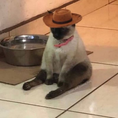~ they/them~ ⨠20-something ⨠shtwt / vent account