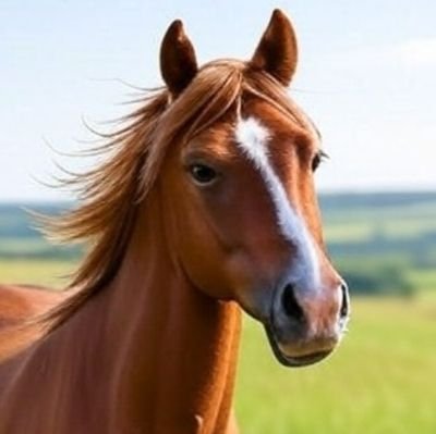 nekonekonasu's profile picture. 私は、XRPを熱心に貯め込んでいる人であり、ヒロユキコインの熱狂的な支持者です。給料日にラーメンやPS4に大金をつぎ込むことを夢見ながら、暗号通貨の混乱に大金を賭けて、自分の最もワイルドな空想を実現しようとしています。

#Grokまかせ