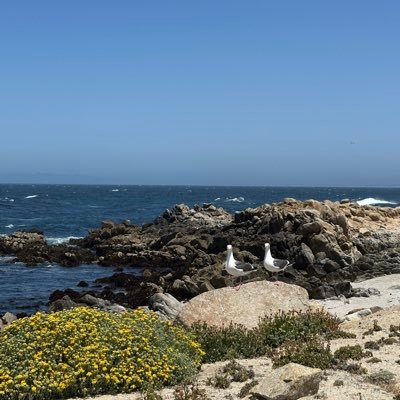 05amv's profile picture. 