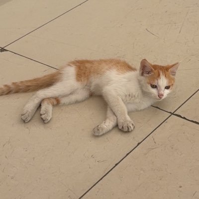 zev_35's profile picture. 