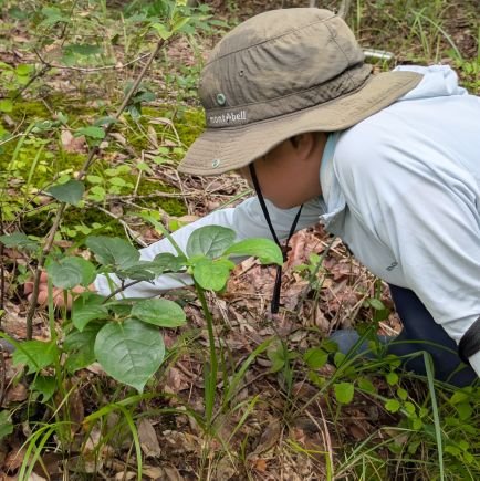 滋賀県在住、年長からきのこにハマり
現在は冬虫夏草探しが好きな小学5年生です。こちらでお勉強させてください。(母ツイ)
第67回、第68回、第69回滋賀県学生科学賞県展、日本冬虫夏草の会2025年9月〜