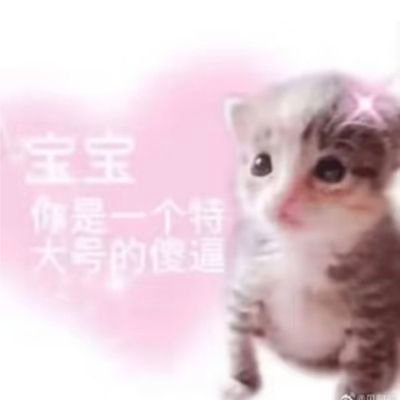 ❤️橘日向