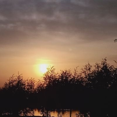 Mrchen42864436's profile picture. 