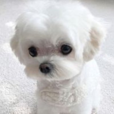 ajslrkawk's profile picture. 