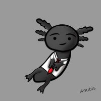 SenhorAnúbis__ (@senhoranubis__) 's Twitter Profile