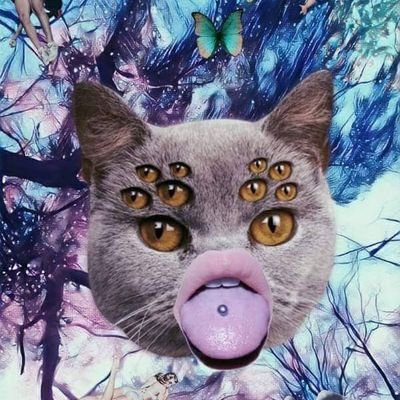 Criatura mercurial de hábitos crepusculares.
Reservorio de pensamientos problematicos varios.
✨Malvibrando alto✨