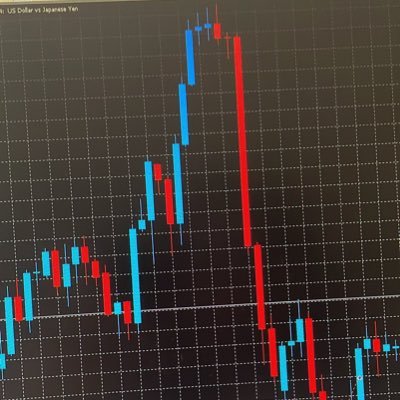 fx249963552528's profile picture. fx勉強中です！