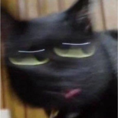 MeowMeow888369's profile picture. 