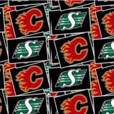 Proud father, and husband! Huge Calgary Flames and Saskatchewan Roughriders fan! Amazing family and friends and I just live my life by the “Golden Rule”!