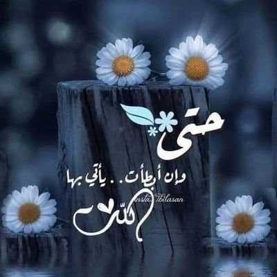 وبعض القلوب خلقت لتهدينا الراحه وتخبرنا أن الحياه ما زالت جميله