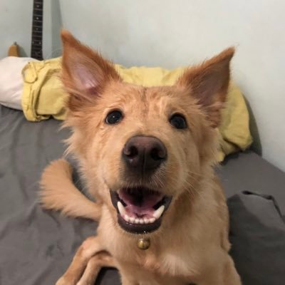 pizzzaloverz's profile picture. 