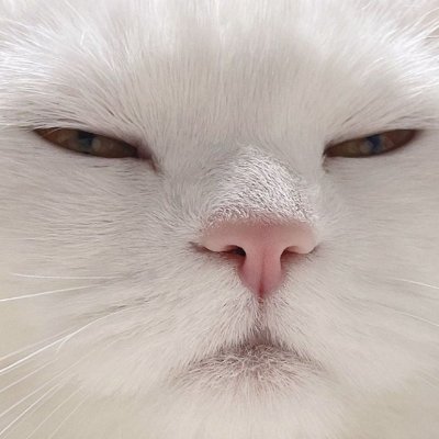 daisukirec's profile picture. 「無理せず、笑顔で働ける」そんな環境を岡山で🌸
DAISUKI!では女性一人ひとりをしっかりサポートします✨