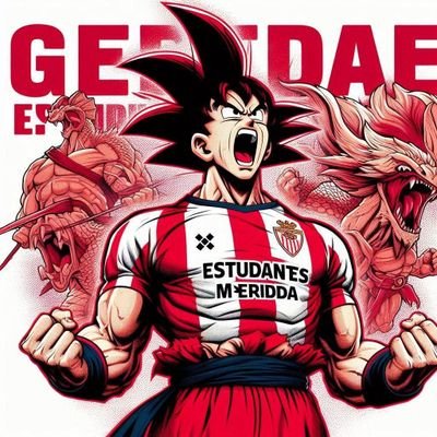 Hincha de Estudiantes de Mérida, Portavoz de la Peña Rojiblancos, orgullosamente Merideño y Venezolano.