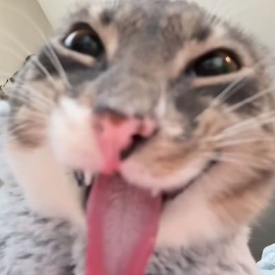 SunnySapphire05's profile picture. 