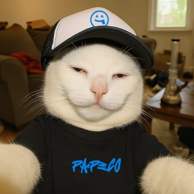 me llamo Juan Pablo, hago música y me puedes llamar 'Pape' :) 💙 escucha mi música : https://t.co/cHrXj7kNLZ https://t.co/11C1nlr4GU