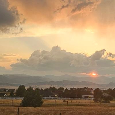 AnneOBrien22526's profile picture. 