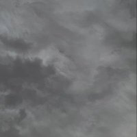 Gray 2 (@grayshere11) 's Twitter Profile