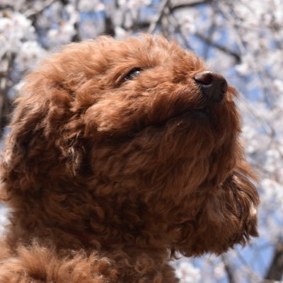 mMSQhvLVuU63427's profile picture. 