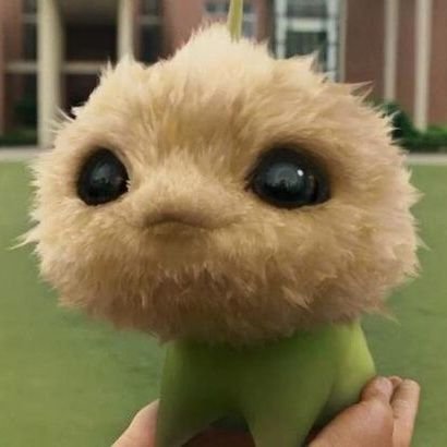 PacificWingKURI's profile picture. 夢の無職にまっしぐら
2度寝1日8時間睡眠推奨派