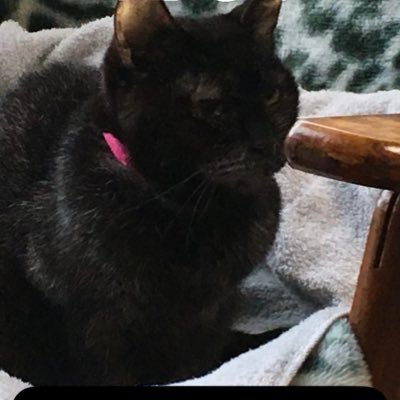 Kuma_Kuma_th's profile picture. ITF.25 math