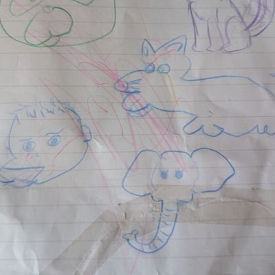Cksu5901's profile picture. 
