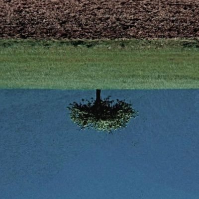 発酵者さんのプロフィール画像