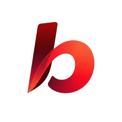 @braveinsx