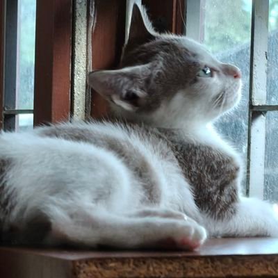 pavena56769's profile picture. 