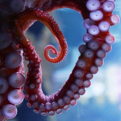 danshushu51's profile picture. 近朱者赤近墨者黑  近我者五颜六色
职业影视工作者  所有发帖转帖均本人拍摄
江浙沪约拍联系小飞机@danshushu51