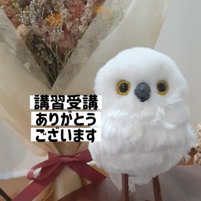 リポストアカウント