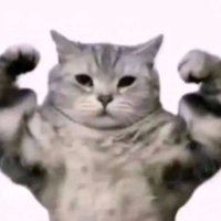 Daddy (@dadaneedsu) 's Twitter Profile
