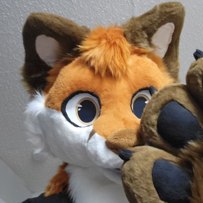 TheSafetyFox's profile picture. 26 | Korean Red Fox | Gaming | ERAU MSOSM | Trying to seperate accounts.... & adding contents....