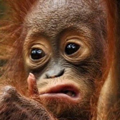 harvM12345's profile picture. 