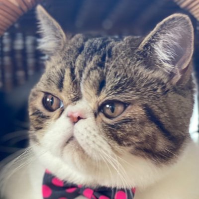 TRNSTさんのプロフィール画像