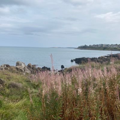 PaolaIanniP's profile picture. “per sempre” finisce sempre