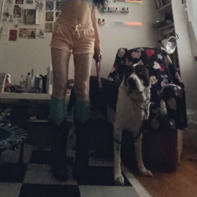 dogapocalypse's profile picture. 