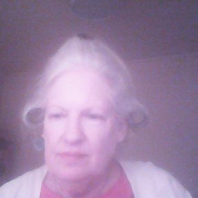 MAGA Christian, Retired Teacher, Animal Lover and Adopter. Looking forward to the coming Golden Age! Born in Mississippi!