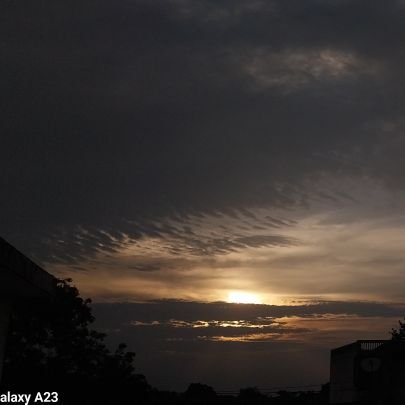 Twilight_11_'s profile picture. Living peacefully 🌿 | Capturing stillness through my lens 🌻 | Every frame tells my story ✨ | Book lover 📖  | Just doing what I love.