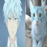 poffrtje's profile picture. i love poffertjes