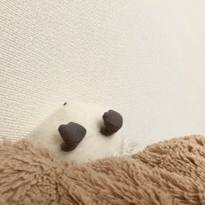 to10note's profile picture. (՞ ᴗ ̫ ᴗ՞)