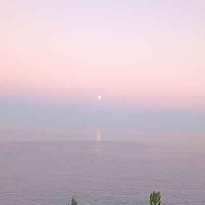 vivi e lascia vivere
