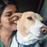 OmerSaumya's profile picture. Dog parent | Social Impact