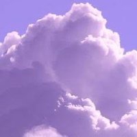 す し 🕶 (@mamp_r) 's Twitter Profile