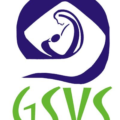 @GSVSAJMER2001