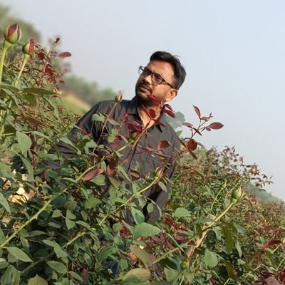 sanat2603's profile picture. 