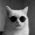 Le chat pensif (@onyva953558) Twitter profile photo Le chat pensif (@onyva953558) Twitter profile photo