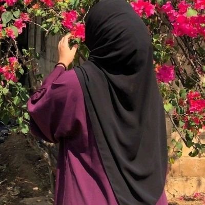 BalgiesUd's profile picture. 