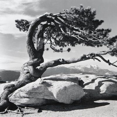AndersonUsa6's profile picture. Hello World!